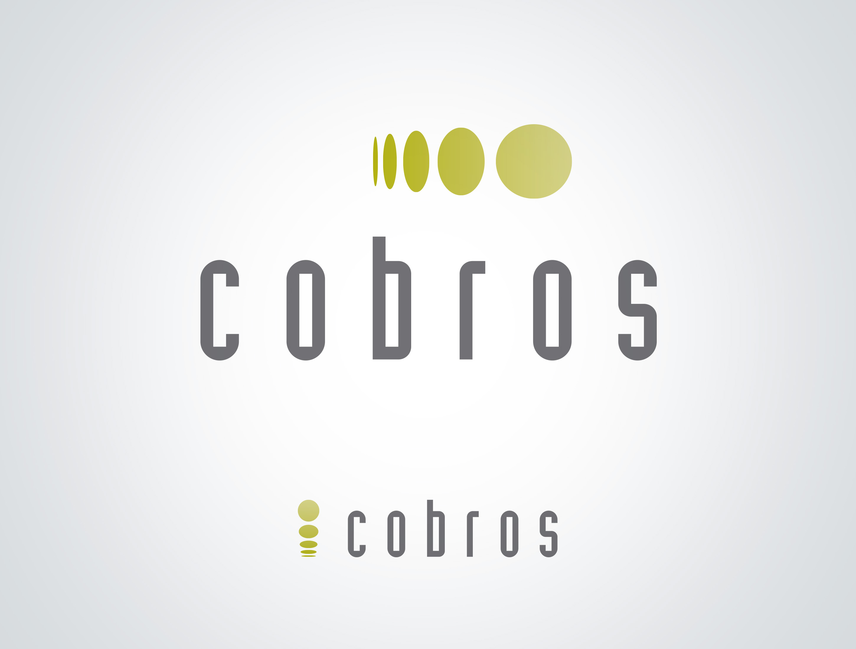 Cobros Consultoria Financeira