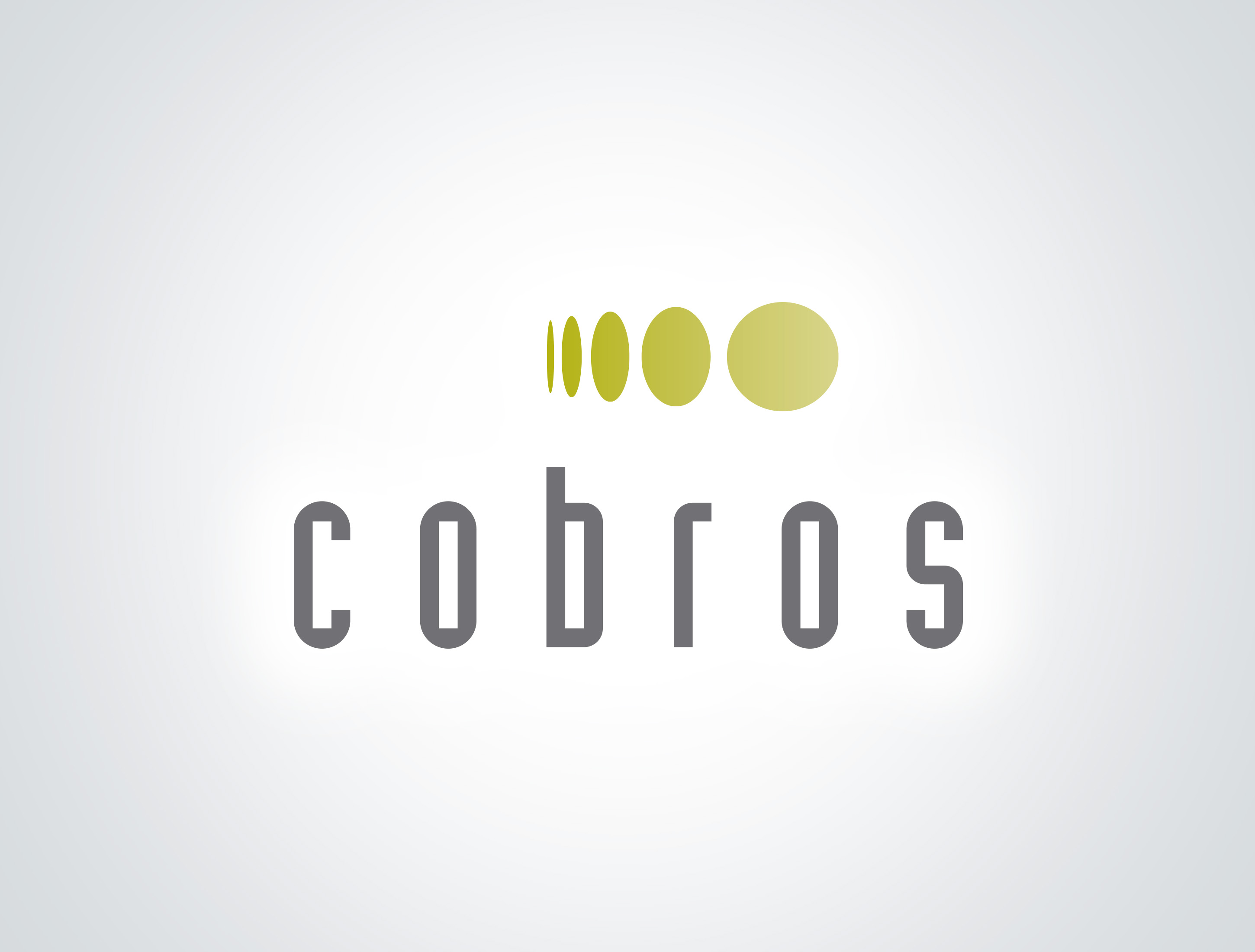 Cobros Consultoria Financeira